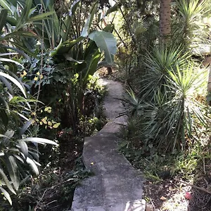  Gasthuis Casa Simba (adults Only)